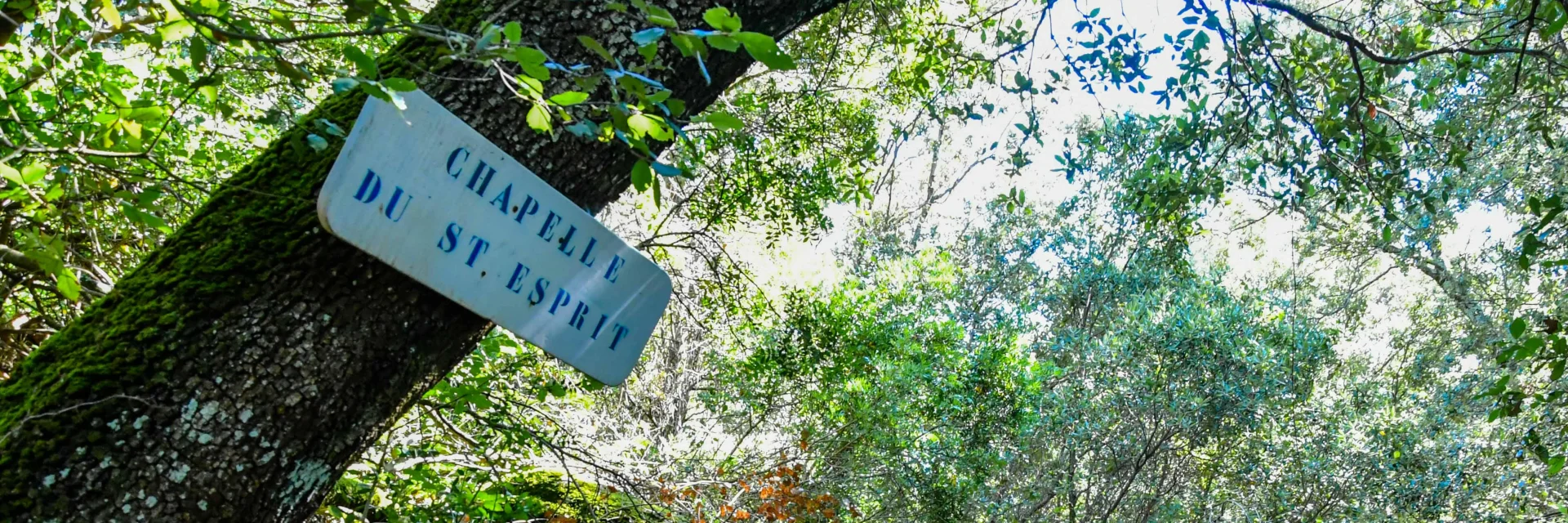 Dl Bd Ld Baladechapellestesprit Jpeg (4)