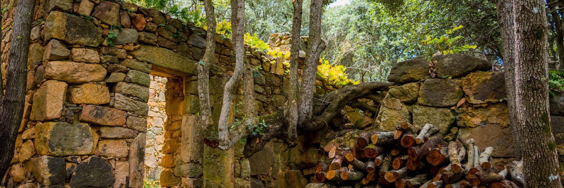Village abandonne arridavu