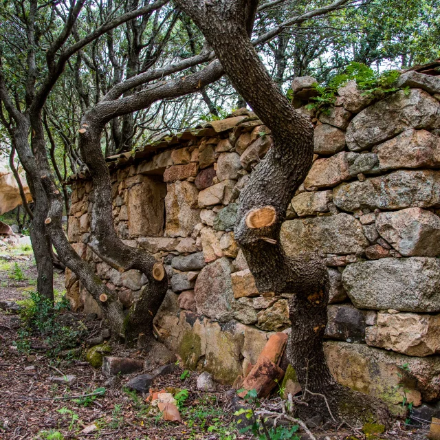 Village abandonne arridavu
