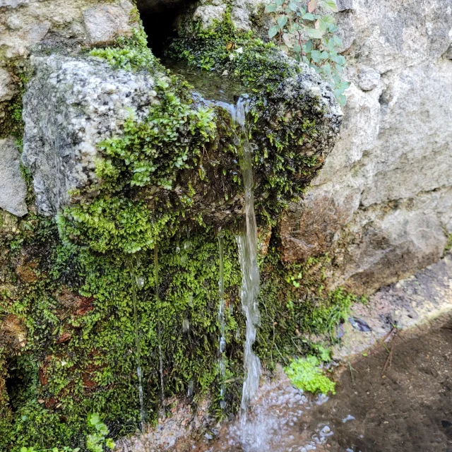 20220912 105010 Rotated