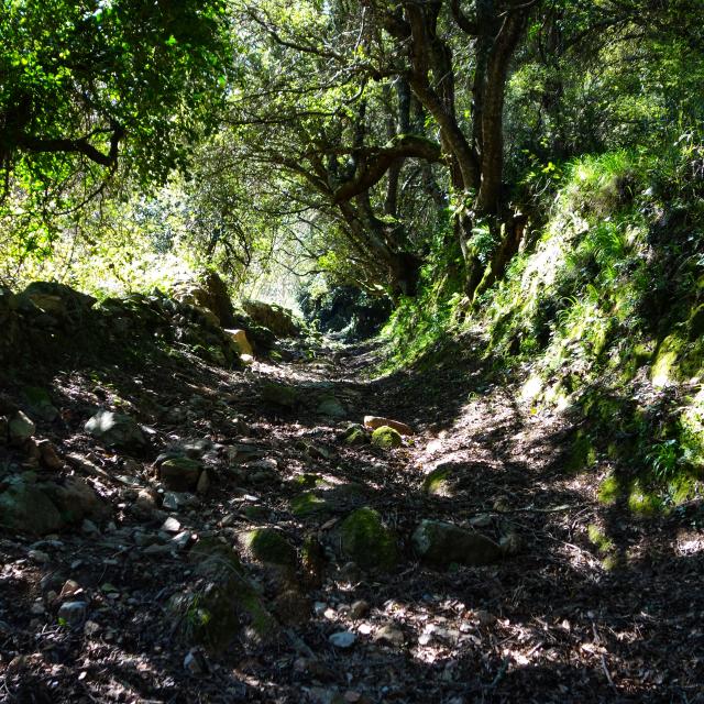 Col de suara sartène
