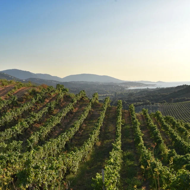 Domaine Sant'Armettu