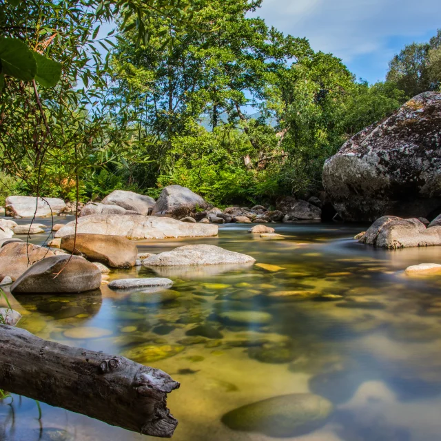 Dl Bd Ld Pontdacoravo Jpeg 3