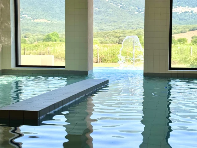 Piscine ouverte sur le maquis - Baracci