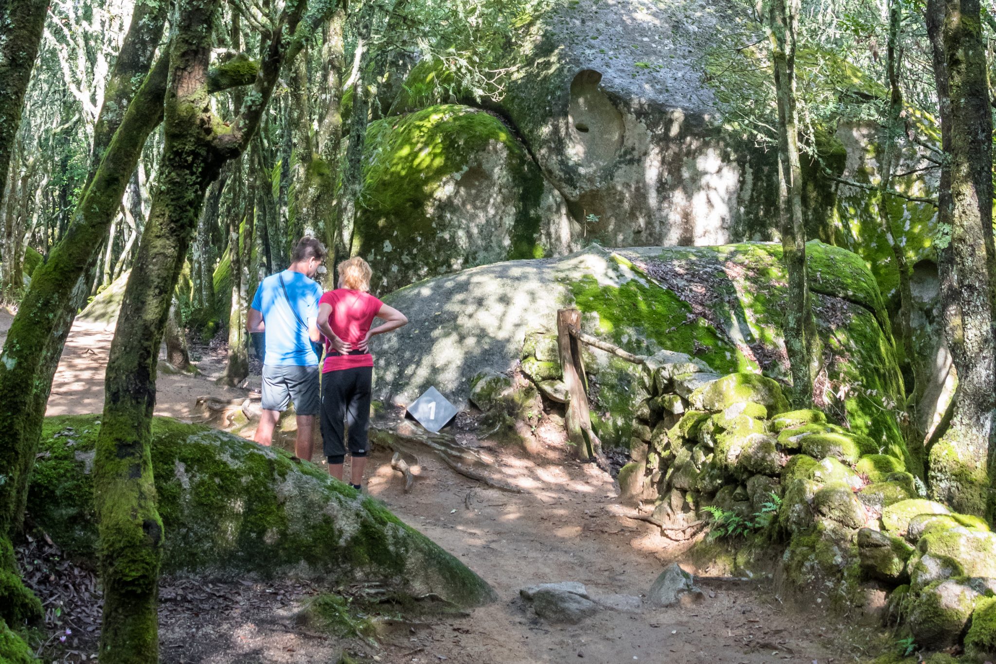 Cucuruzzu vers l'Alta Rocca en corse du sud