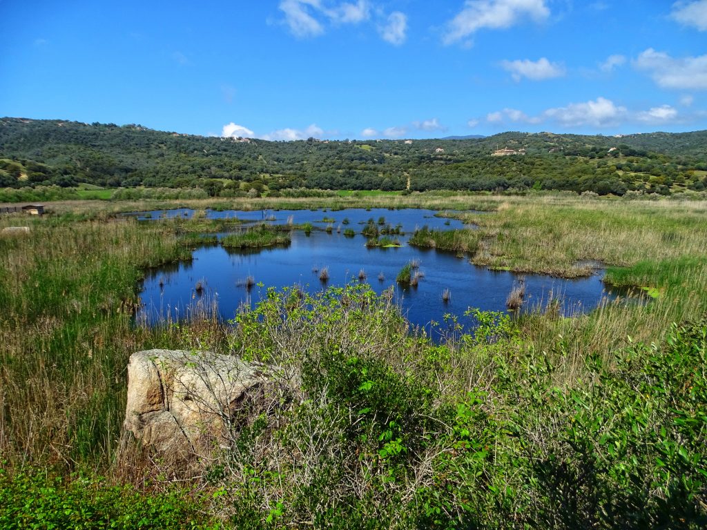 Etang de Tanchiccia Porto Pollo Corse du sud, vers Ajaccio