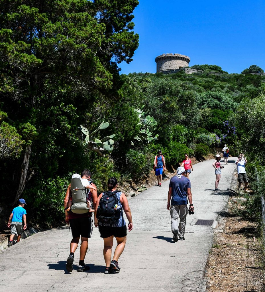 Sentier de la tour de la Campomoro